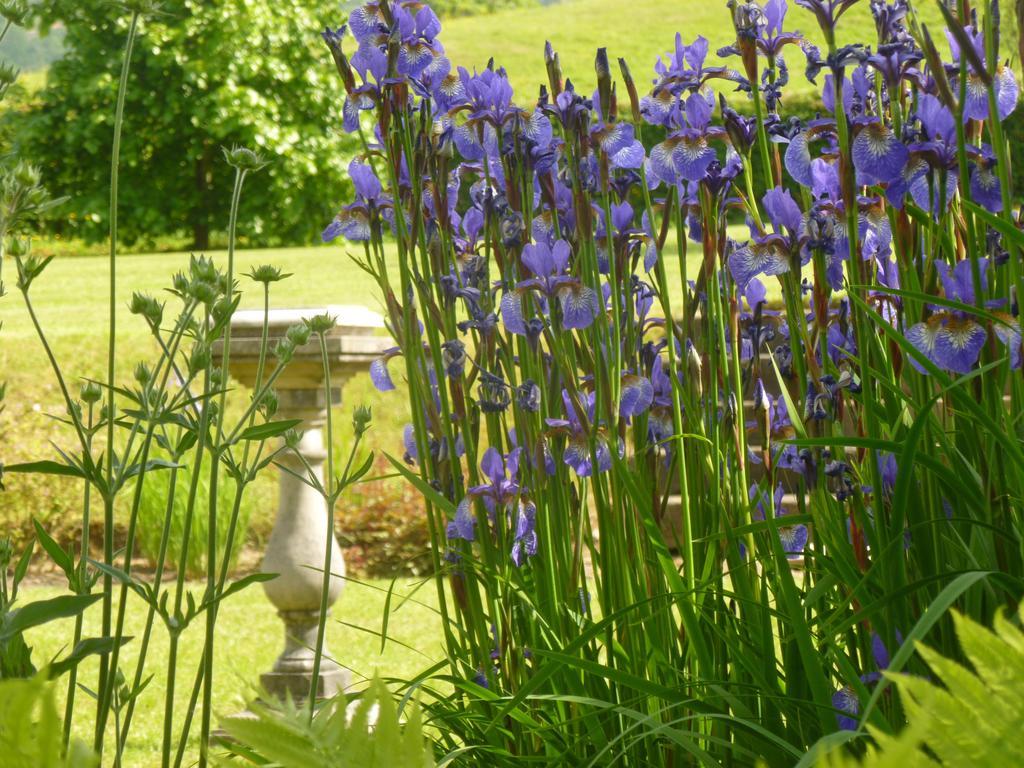 Llwyn Helyg Country House Affittacamere Carmarthen Esterno foto